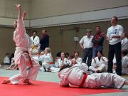 20090620 Aachen Kader 60